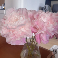 �������յ���ҩ��