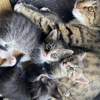 è���������