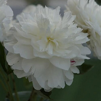 ��ҩ��ĺ�����һ�����뵽�����϶������ˣ��𴲶�������