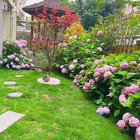 ���·ݵĻ�԰ÿ�춼����ڼ������������򿪵�̫���ˡ�