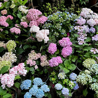 �ҵ����ж�������