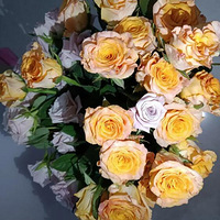 õ��ä�п���20���õ���Լ�20�䲻֪��ɶ���ֵ�õ��