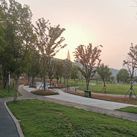 յϣȥνߴ˸ȷʵ