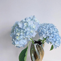 ���ĵĵ�һ������������