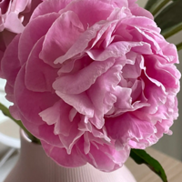 �������ܿ�����ҩ