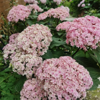 5�����򼾣�ɹɹ�ҵ����򣬸���ұ����۸�