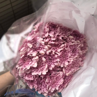 ����������������С�գ�