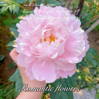 �Ҽ�Ժ��������»�����ҩ