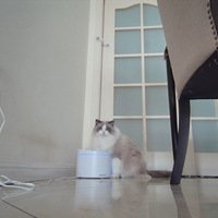 ��λ�����ڼ����ʺ�ٵ��ճ�