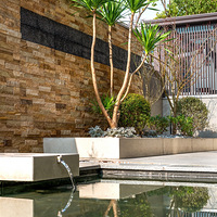 ��СС�Ļ�԰������ѽ��ѽ�ڡ���