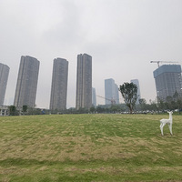 첿ֽ