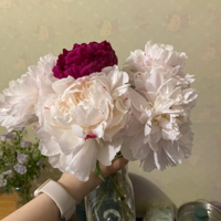 �ҷ������ǽ������һ������ҩ��