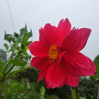 ���������õĸ���