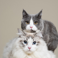 ����С�һ�һ����������