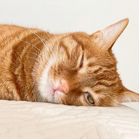 ɹɹ�ҵĴ�����