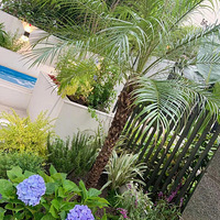 ��������84ƽС��԰�깤