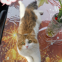 ��������Ҫ�����������������²»�����ֻ������ʲô��