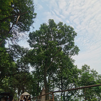 Ǳѵ