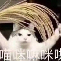 6ؼۻƱˣ229Ԫȸ