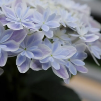 ��������ҵ��򻪾��������ĺúã�