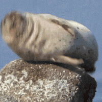 ϰõˣȰȥҽ