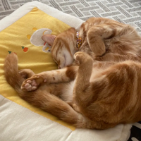 Сè���Ұ�û��ı��£�����˯���ܻ�Ť��������������