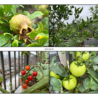 �������ǰܸ�������Ĳ˵�