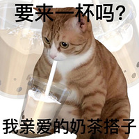 66ֵ Ӥͯڿ339ϻݶʪĤ30Ƭ69