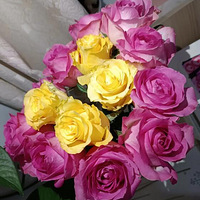 39.9Ԫ70֧õ��ä�У�δ���˾���ȫ����֪����ɶ����