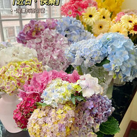 ͱ��������� ��������