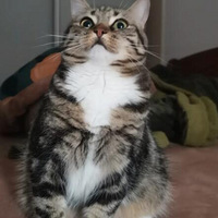 ˭�������С������ס���װ�����