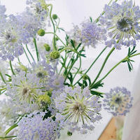 ����̫��̫����