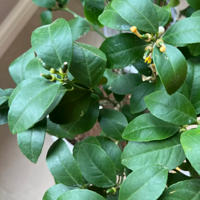 �������������ҵľ����ǣ�ֻ���˼������