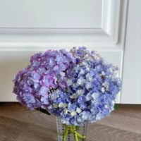 ���������һЩ����