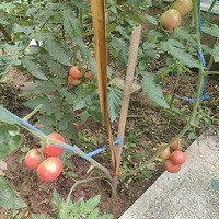 �������ɵ�һ��:�߲�����