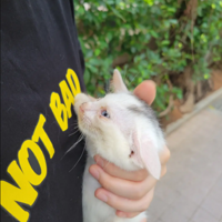 ·�߼񵽵���������