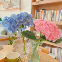 ������������������Ѿ����˿�һ��