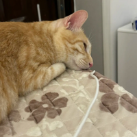 ��������ѧϰ��ҲҪ������������