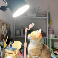 ϲ�������ĺ���С�ٸ��һöѽ��