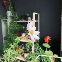 ��ӭ������ι��ҵ���̨