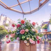 �й��˵�DNA����  ˭�ܾܾ��ɰ��Ļ����أ�