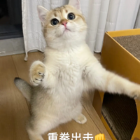 ɹɹ�Ҽҵ�С����