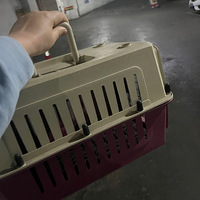 ����ĸè��������ĸèǿ�н�������