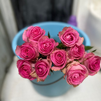 9.9һ�ѵ�õ��Ҳ����������