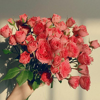 ���컨��ô���ˣ�����Ϊ����Ļ��ڶ���