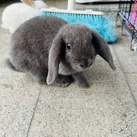 ���������������