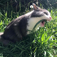 �����������Բ�ʱ�ı��飬ÿһ�Ŷ�������