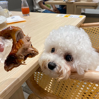 빷ˮ