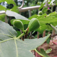 ������޻������������İɣ�������ô���