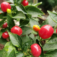 ҹ��10��Ǯ�������Բ�ཱུĺù�